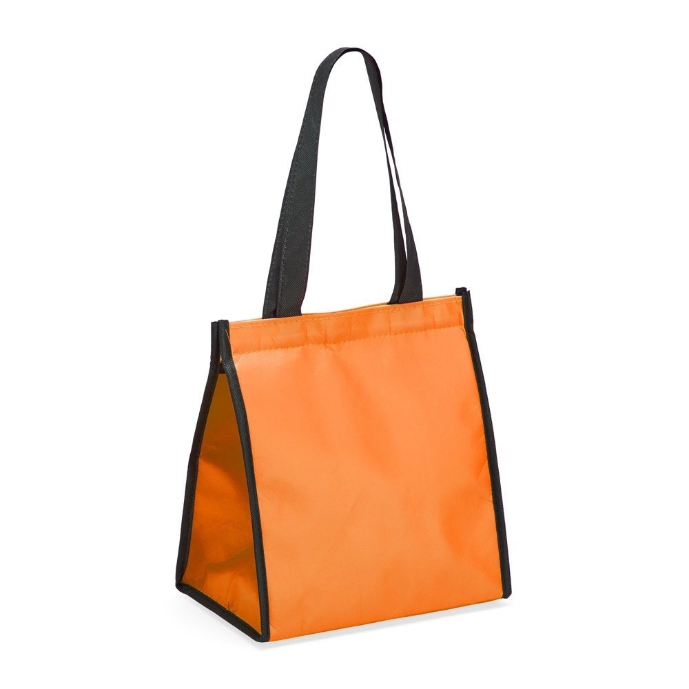 Bolsa-Termica-6-Litros-17309d4-1697224830