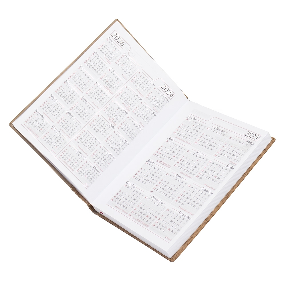 Agenda-Diaria-2025-2426d2-1724767381