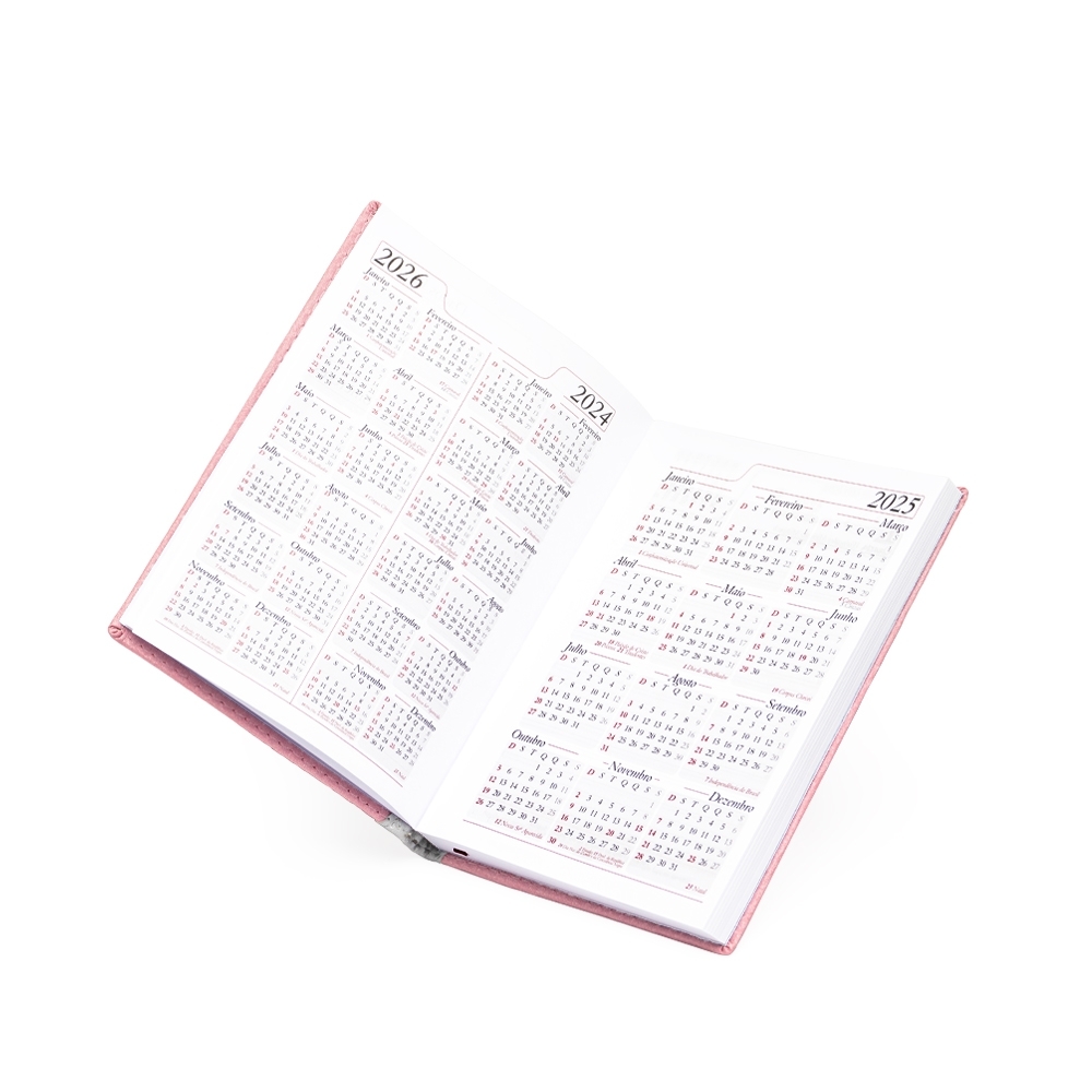 Agenda-Diaria-2025-2595d3-1724441160