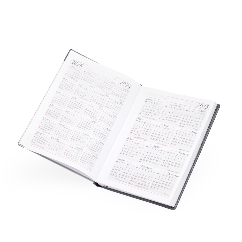 Agenda-Diaria-2025-7744d3-1724852429