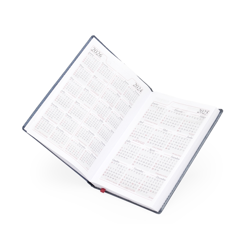 Agenda-Diaria-2025-7881d3-1724786987