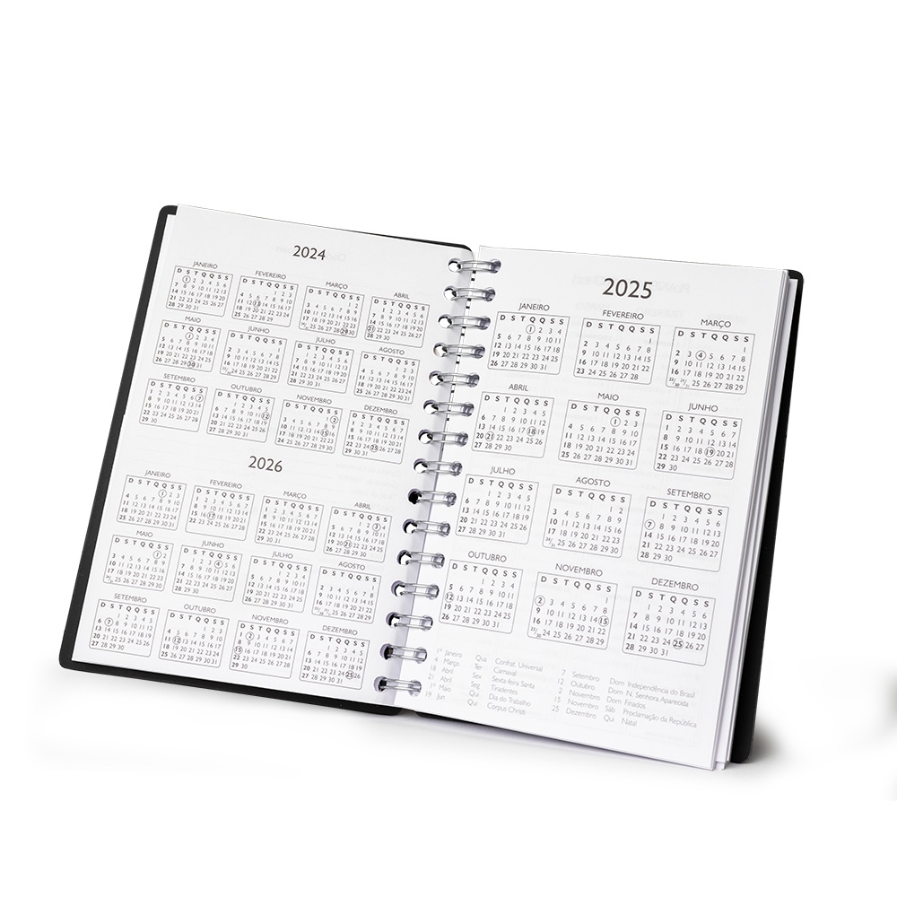 Agenda-Diaria-2025-9778d3-1717016300