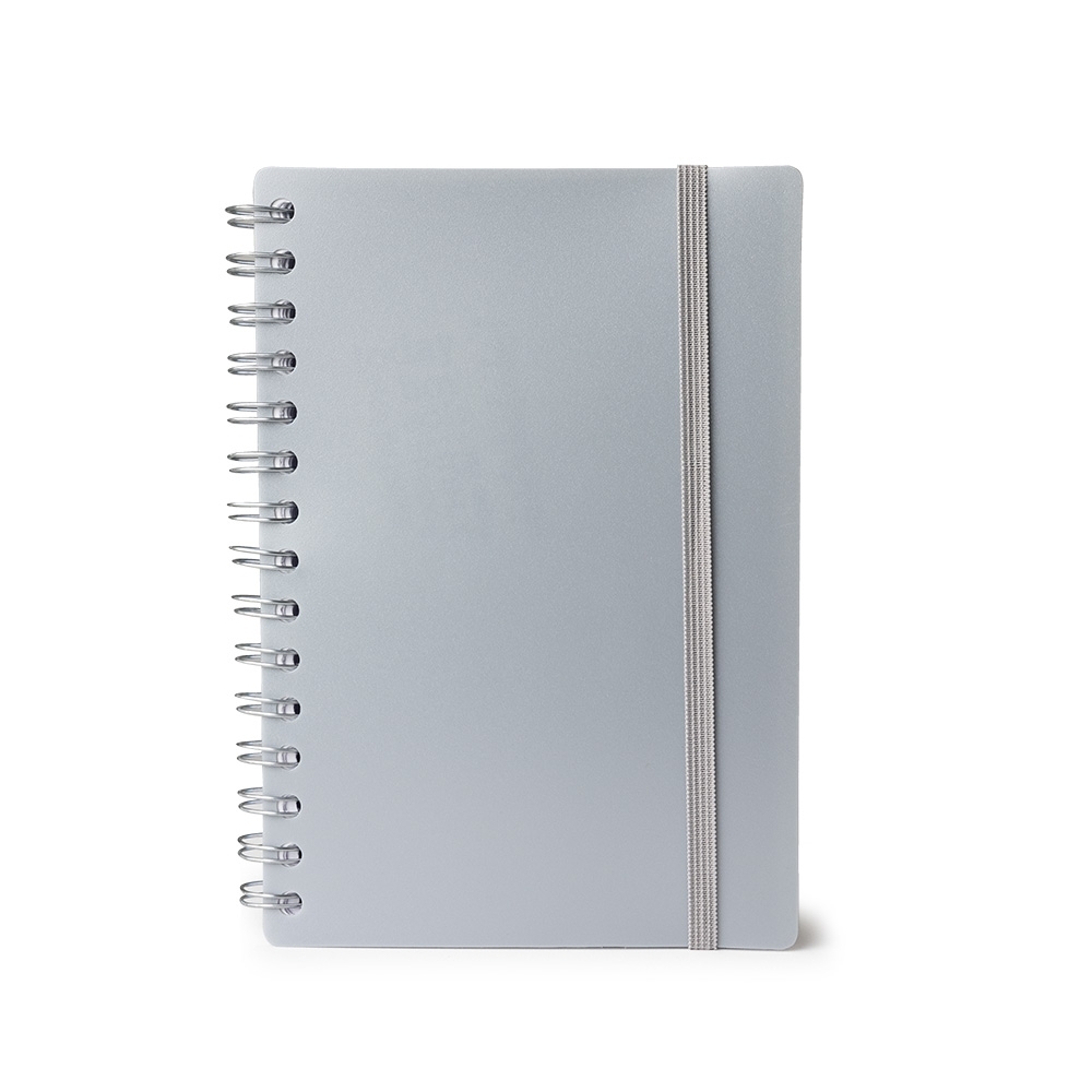 Agenda-Diaria-2025-PRATA-9798-1717016192