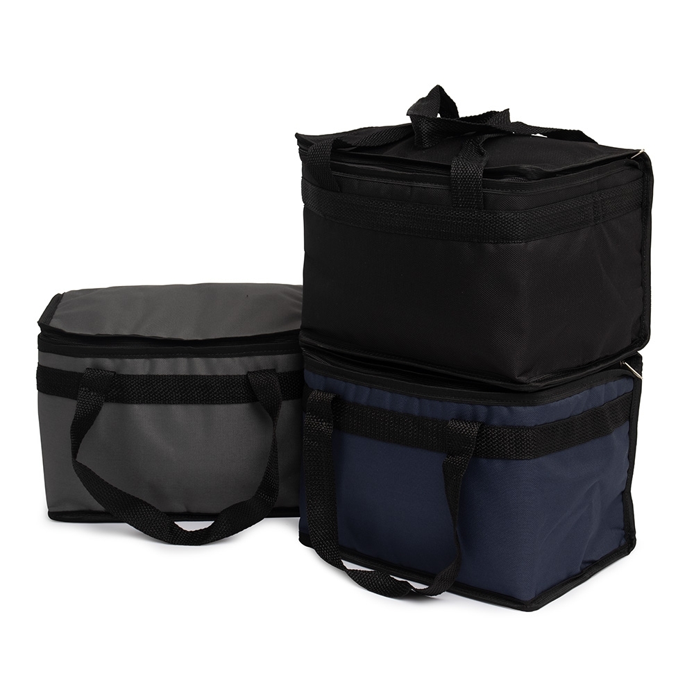 Bolsa-Termica-13-Litros-19792d1-1722874166