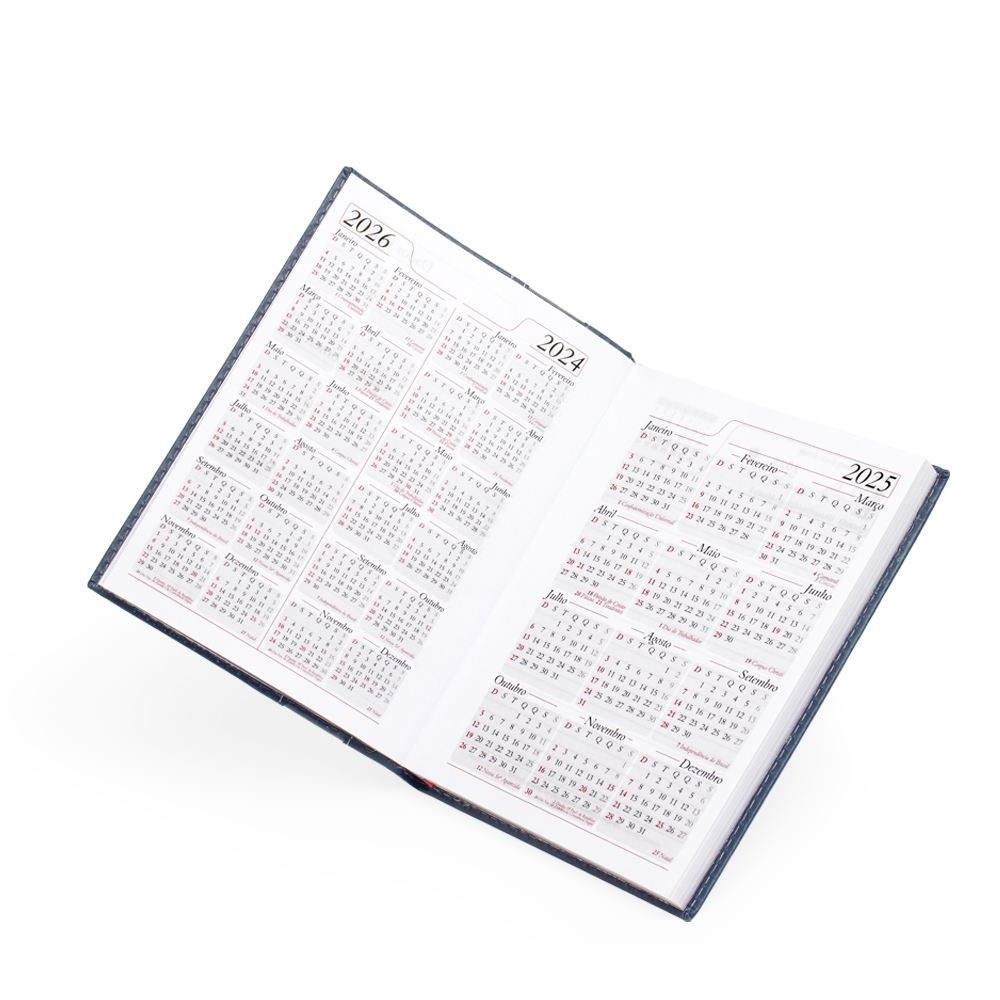 Agenda-Diaria-2025-7896d3-1725016632