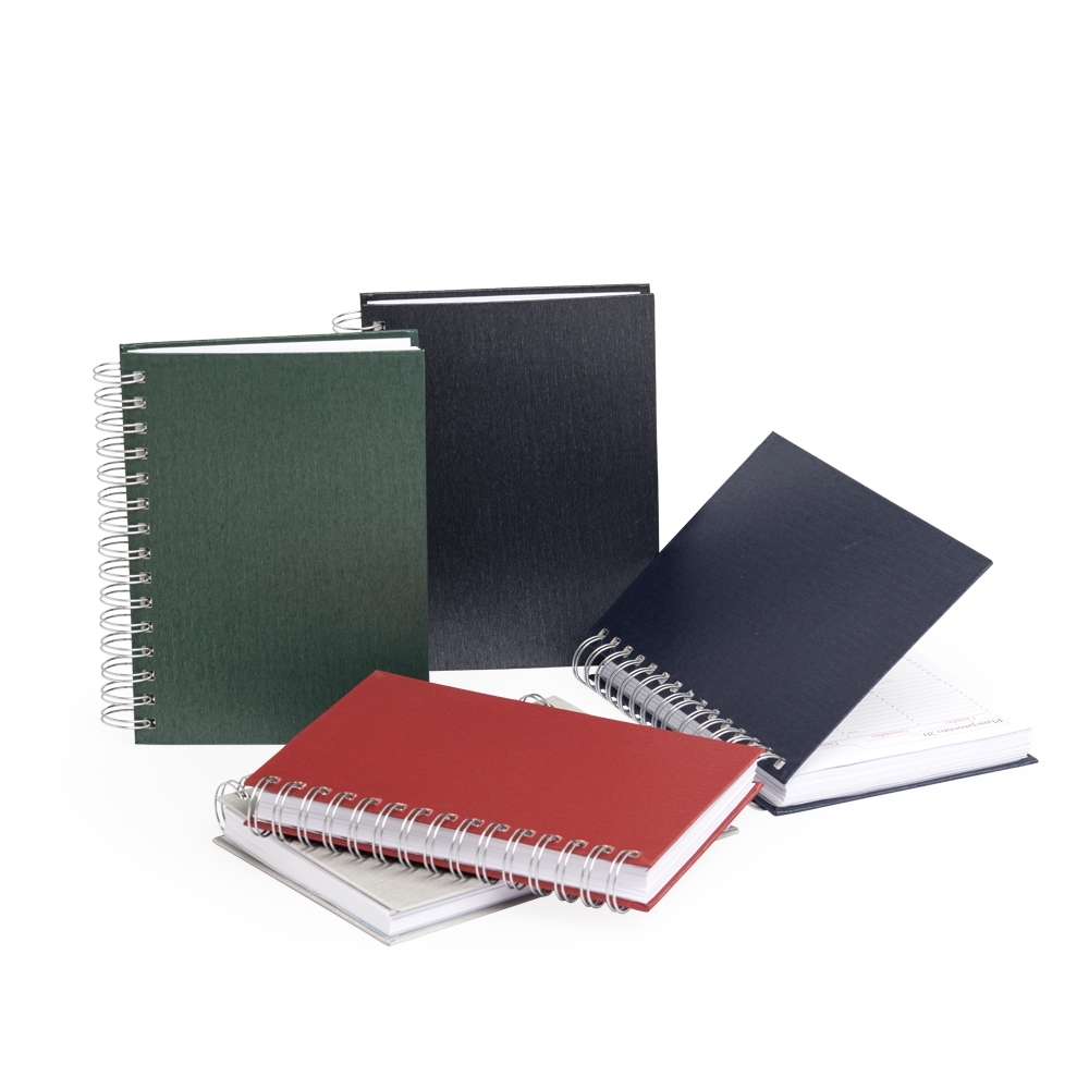 Agenda-Diaria-2025-8629d1-1725016265