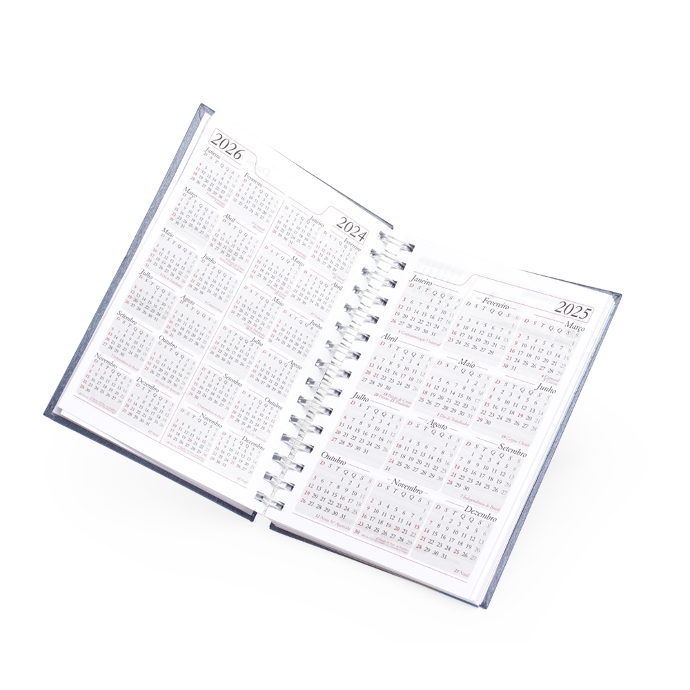 Agenda-Diaria-2025-8629d3-1725016266