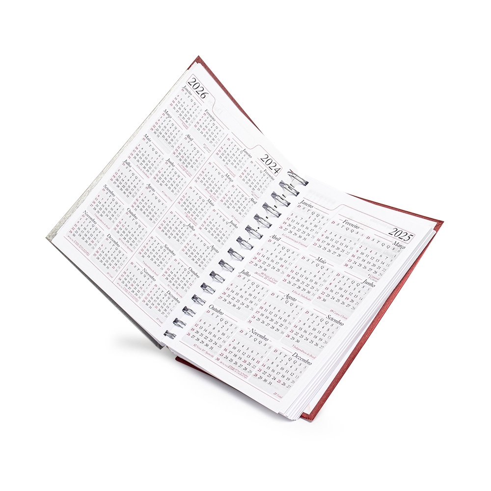 Agenda-Diaria-2025-8636d3-1725450516